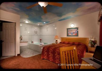 The Palace Inn - 11