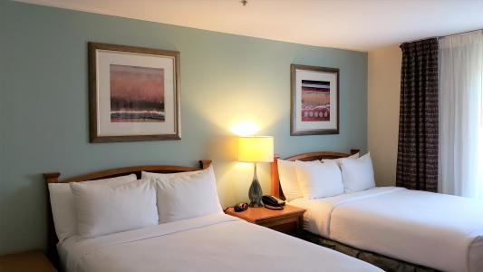 Sonesta Es Suites San Antonio Northwest - 33