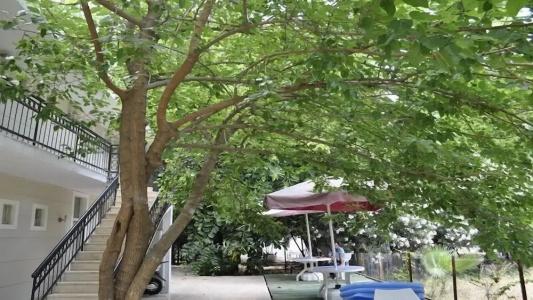 Kemer Park Otel - 61