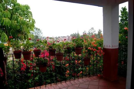 Oaxaca Deleite - 21