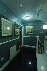 Opulence Boutique and Spa - 11