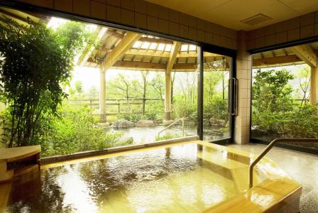 Yamanakaonsen Hanamurasaki - 9