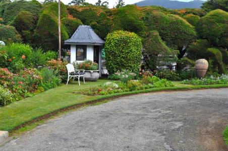 Royal Cocoon - Nuwara Eliya - 18