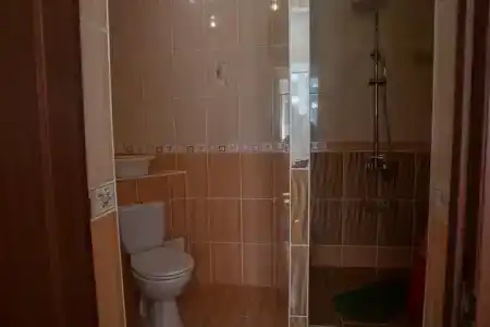 Спутник - 60