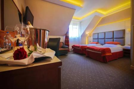 Galicja Wellness & Spa - 19