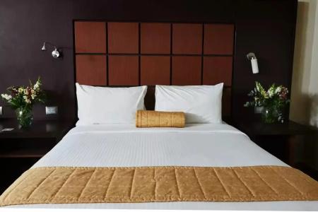 Loa Inn Business Centro Puebla - 6