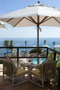 Il Pellicano - 11