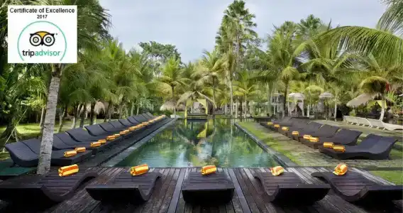 The Mansion Resort & Spa - 36