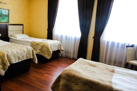 Vilesh Palace - 4