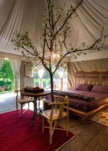 Glamping Canonici di San Marco - 15