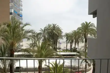 El Palmeral - 64
