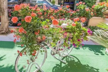 River fronte mare con piscina - 81