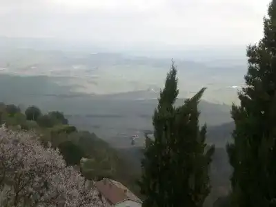 Vecchia Oliviera - 15