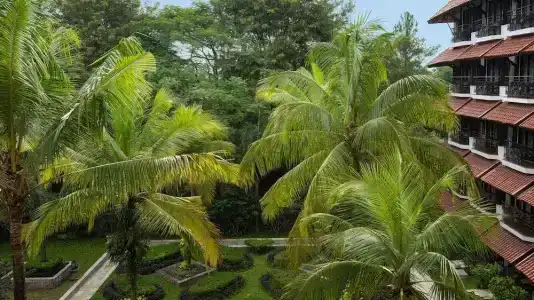 Sheraton Mustika Yogyakarta Resort And Spa - Chse Certified - 117