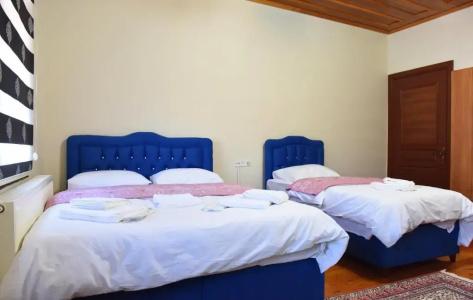 ÖZ Butik Otel Antik Kent Myrleia - 49