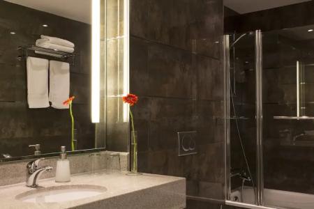 l'Arrivée & Spa - 39