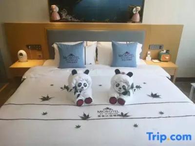 Microtel by Wyndham Lijiang - 16