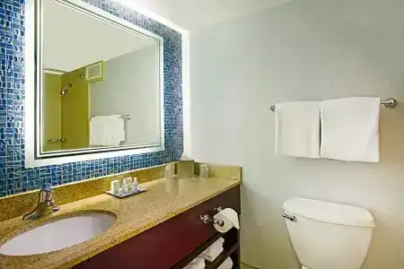 Wyndham Garden Lake Buena Vista Disney Springs® Resort Area - 55