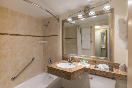 Holiday Inn Port Of Miami-Downtown, An Ihg - 8