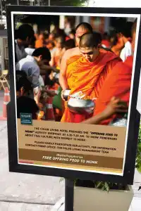 The Color Living - 32