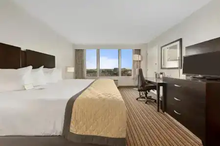 Wyndham Garden Norfolk Downtown - 45