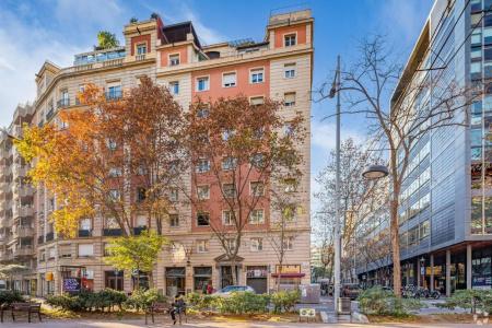 Casual Colours Barcelona - 48