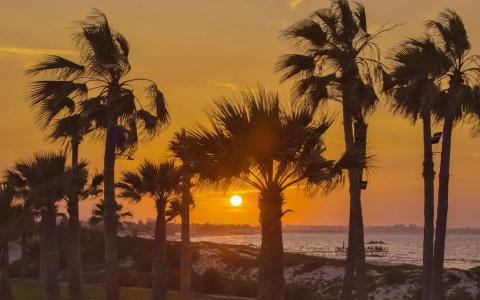 Hilton Skanes Beach - 20