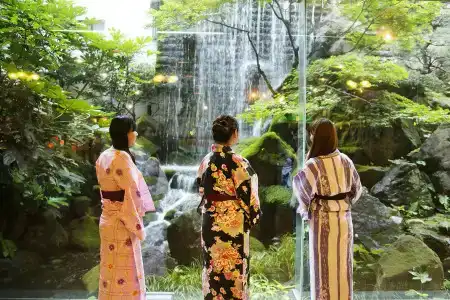Tokiwa - 24