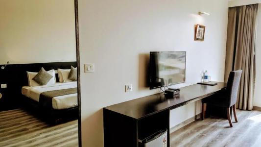 The Saneer Jaipur - 9