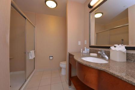 Hampton Inn and Suites North-Airport - 6