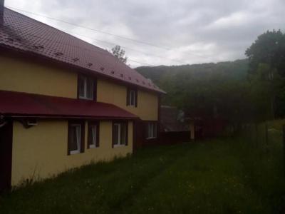 Барвінок - 19