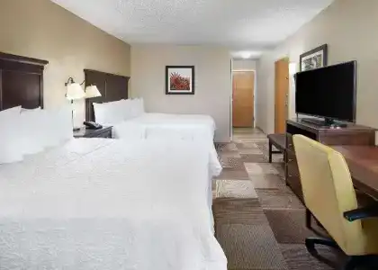 Hampton Inn Dallas-Irving-Las Colinas - 62