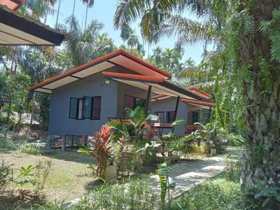 Khao Sok Palm Garden Resort - 24