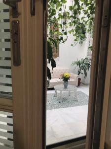 Un Patio al Sur - 53