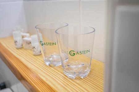 Das Gastein - ganzjährig inklusive Alpentherme - Sommersaison 2022 zusätzlich inklusive Gasteiner Bergbahnen - 29