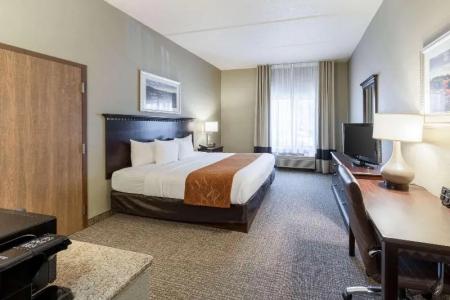 Comfort Suites Austin Airport - 45