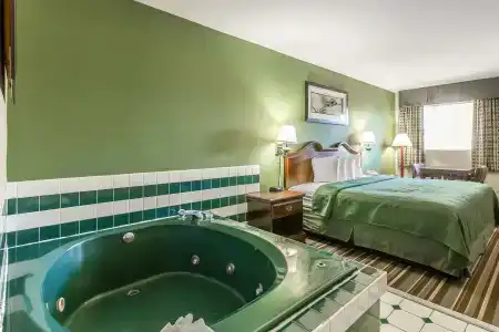 Quality Inn & Suites North - 8