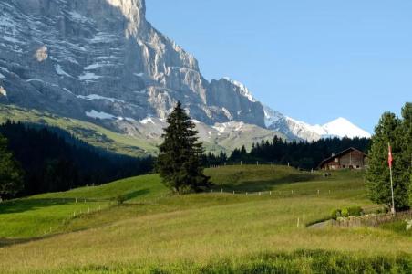 Aspen Alpine Lifestyle - 67