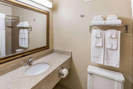 Quality Inn & Suites Downtown - 54