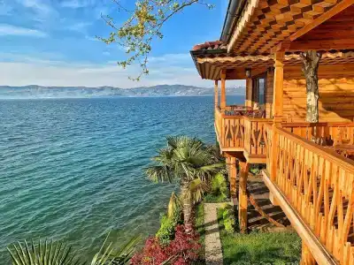 Sasa Harmanlık - 15
