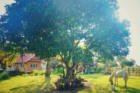 Wanlapa Farmstay - 42