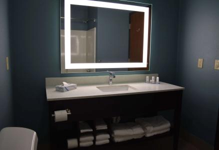 Microtel Inn & Suites by Wyndham College Station - 6