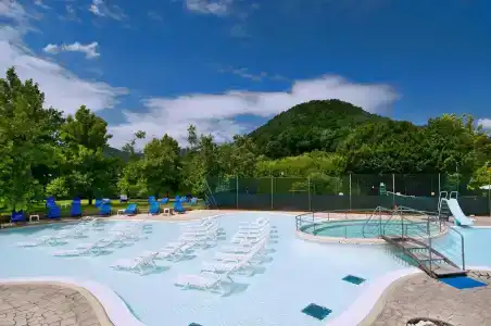 Petrarca Terme - 17