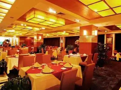 Dynasty International - 15
