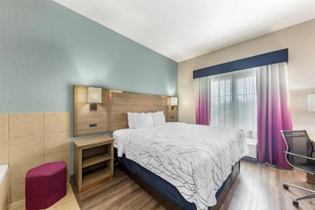 Best Western Plus San Antonio East Inn & Suites - 45