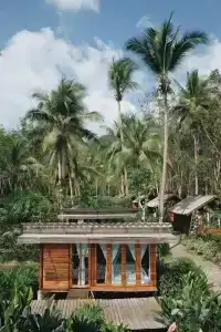 Jungle Koh - 46