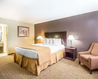 Quality Inn & Suites By the Parks - 3