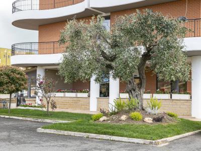 Cortese - 19