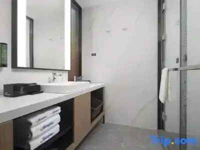 Hampton by Hilton Waishuangnan - 81