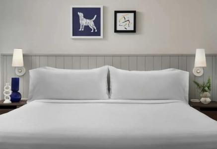 Sonesta ES Suites Chicago Downtown Magnificent Mile - 48